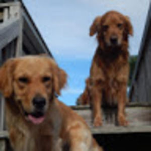 Meet your Posher, Karlene